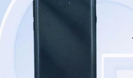 红米9最新爆料汇总表,性能升级，外观革新，全面解析