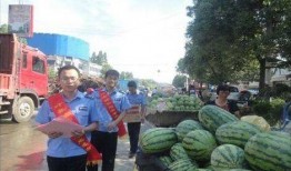 文安某网红吃瓜事件,揭秘背后真相与网络舆论风暴